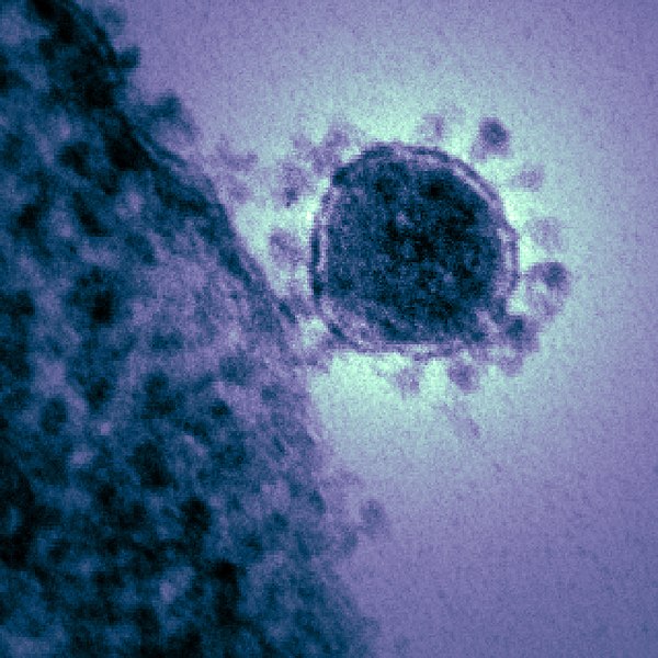 Report: Coronavirus Could Be A Bioweapon That Only Targets A Certain Race