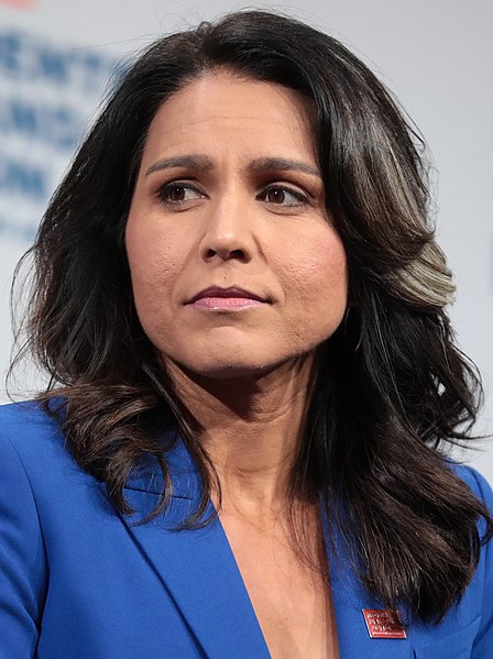 Tulsi Gabbard: Domestic-Terrorism Bill Is "A Targeting Of Almost Half Of The Country"