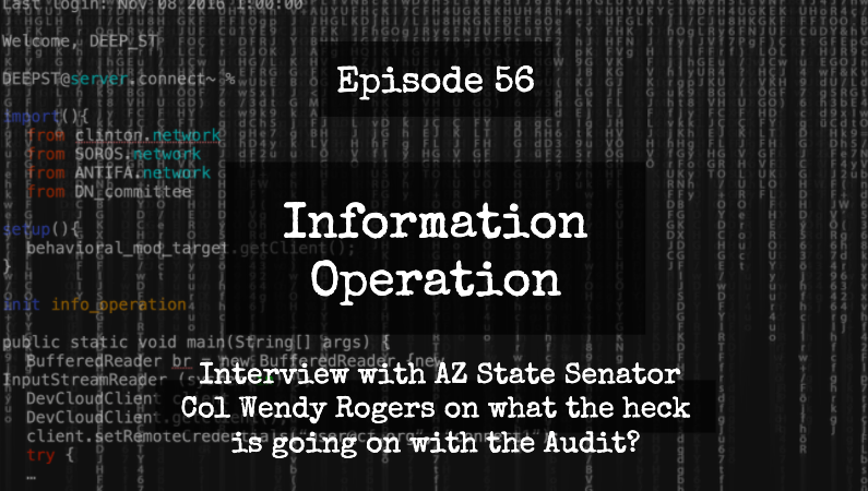 IO Episode 56 - Interview With AZ State Senator Col Wendy Rogers On What's Going On With The Audit?