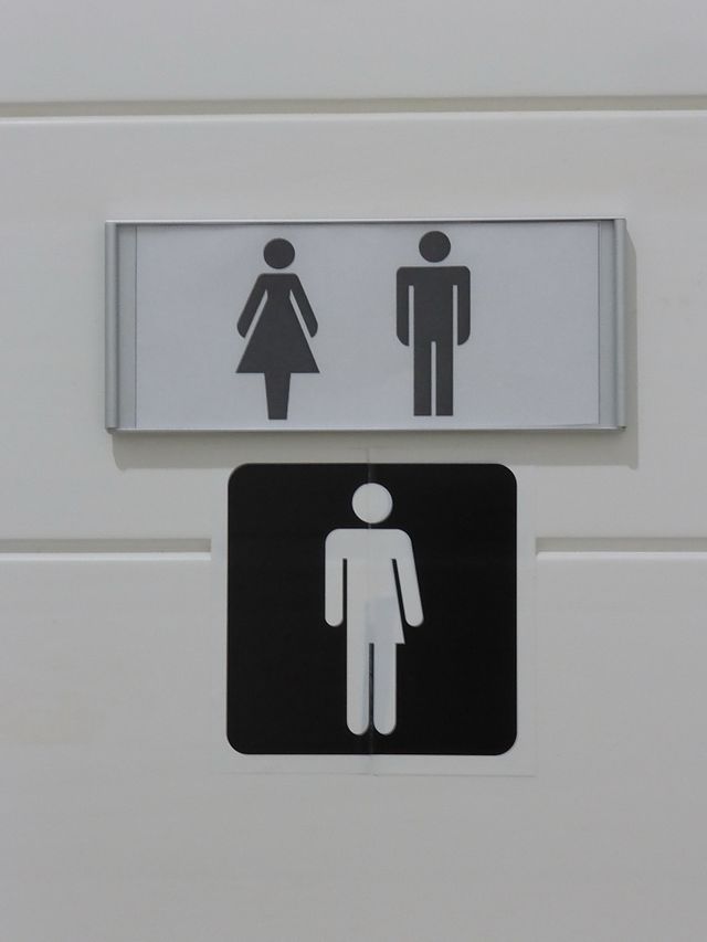 CD Media/Big Data Poll: Virginia Voters Oppose Transgender, Gender Neutral Bathrooms in Public Schools