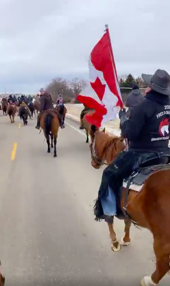 Amazing Footage -The Canadian Cavalry Joins The Truckers As Cowboys On Horseback Join The Protest