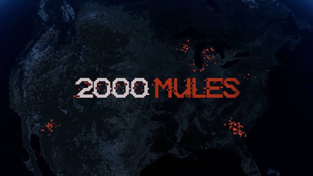 MOVIE REVIEW: 2000 Mules