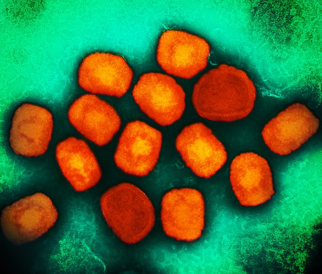 CDC Vaccine Lies 2.0 – Monkeypox