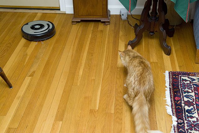 Amazon Buying Roomba Is ‘Most Dangerous, Threatening Acquisition In The Company’s History’