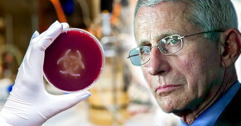 The Rise Of Fauci And The U.S. Biosecurity State — Who Was Behind It?