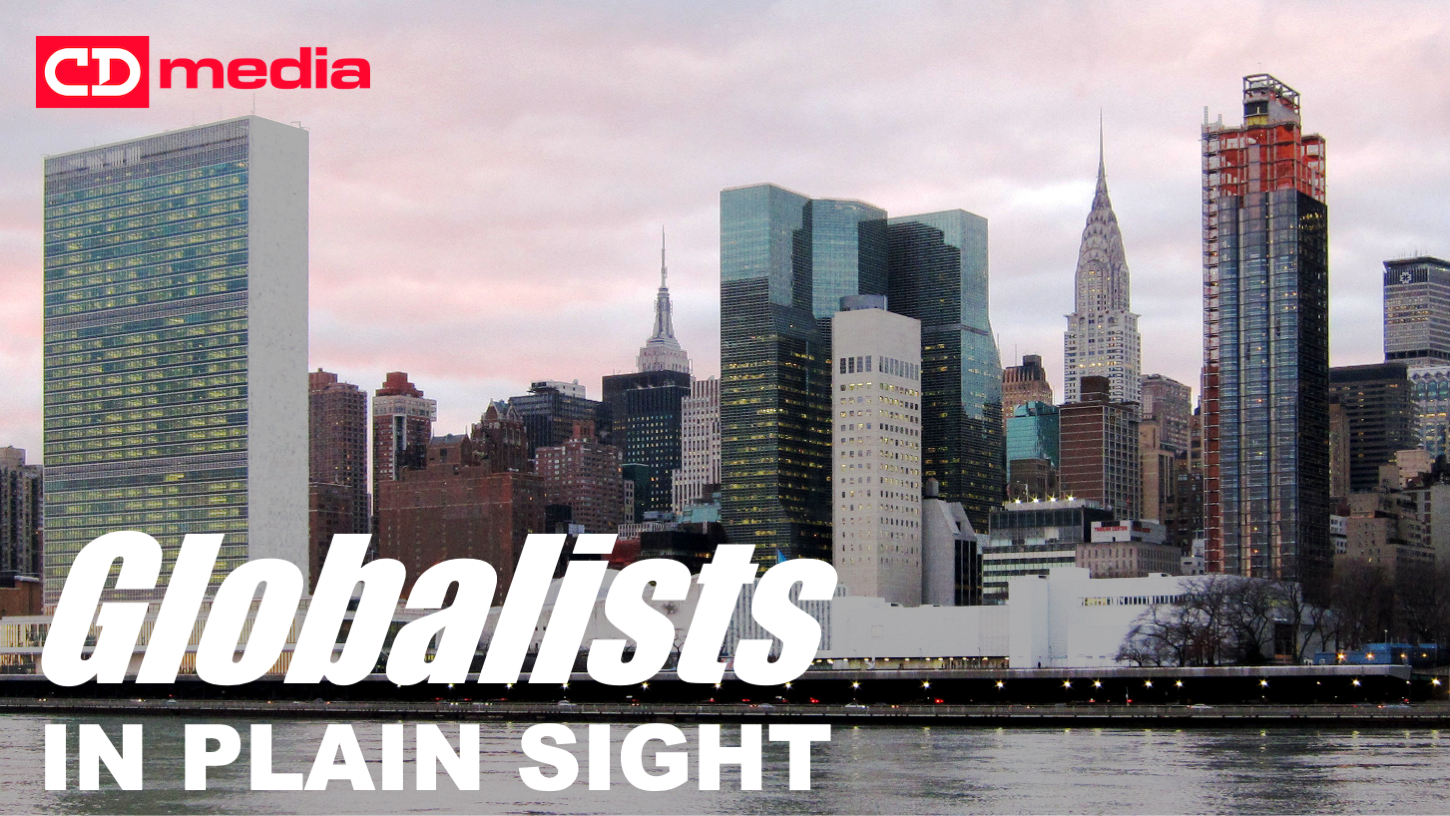LIVESTREAM 12:30pm EST: The Globalists In Plain Sight With David Bell On WHO