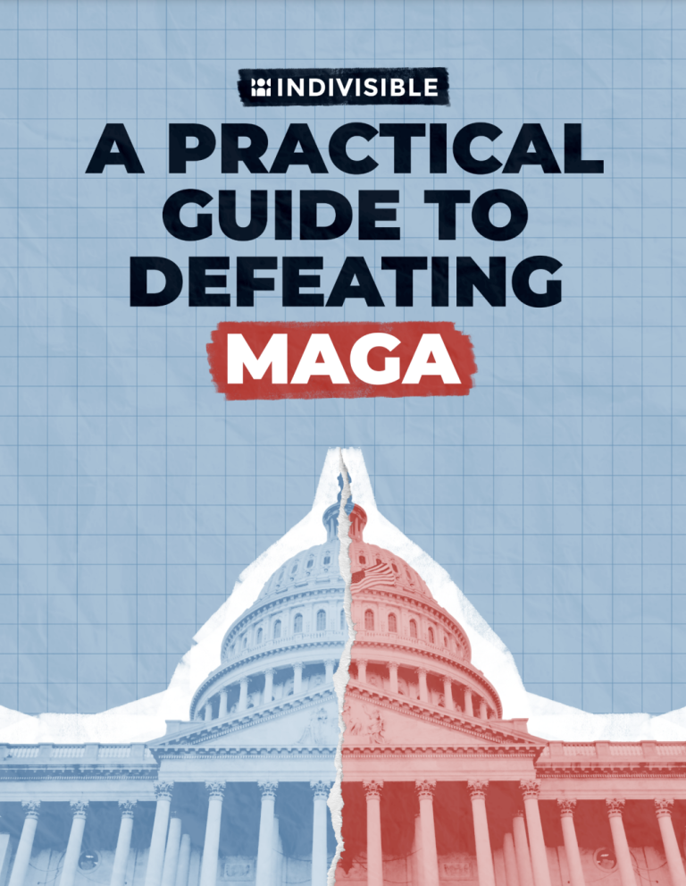 Have Your Read The 2024 Indivisible Guide To Defeating MAGA? Want To Know The Game Plan?