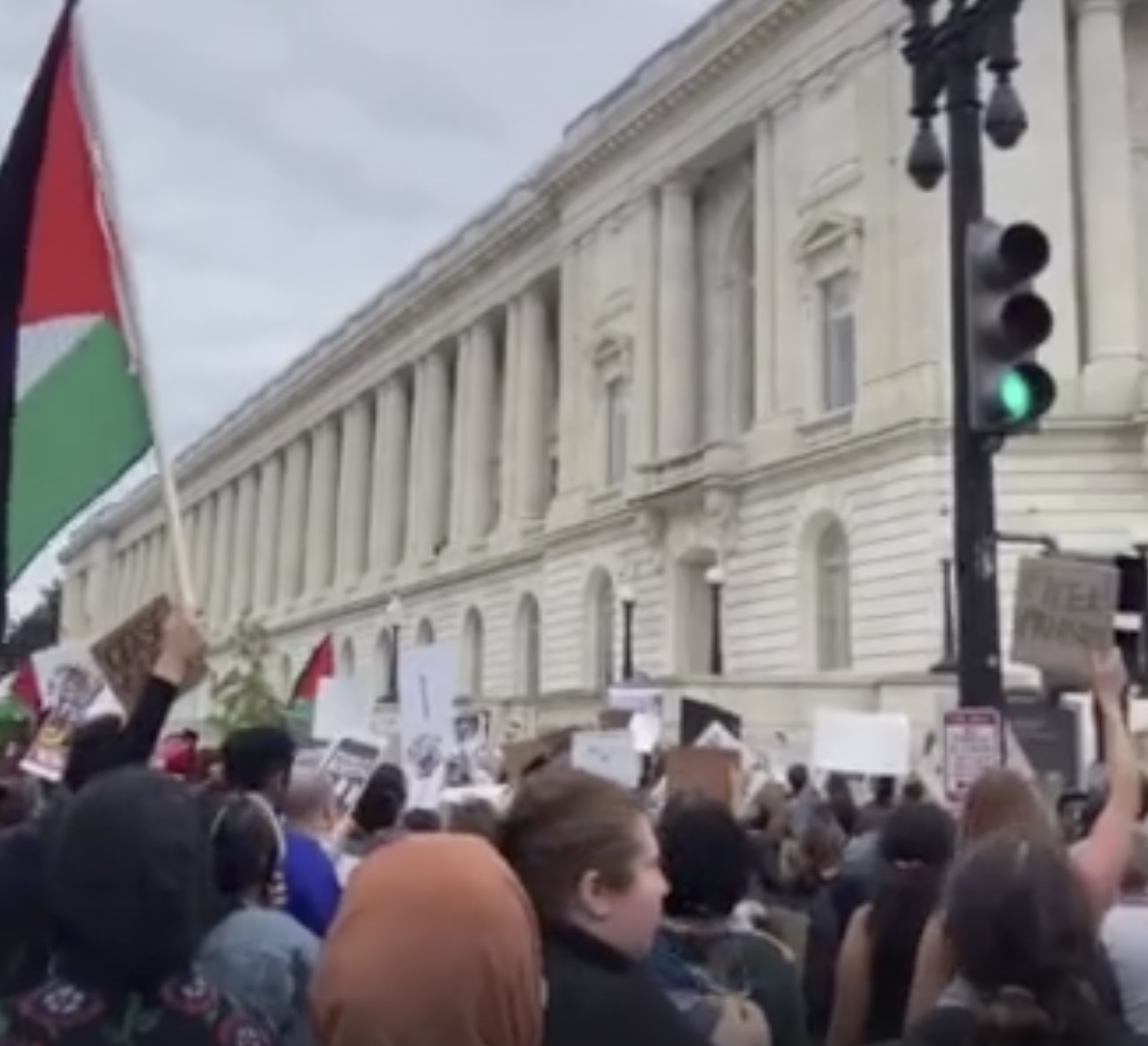 Pro-Palestinians Supporters Take Over Cannon Building in Washington DC