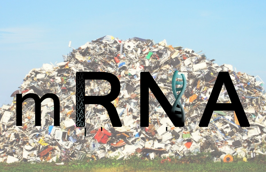 BOMBSHELL Report On Random “Garbage” Proteins mRNA COVID Shots Make In Your Body
