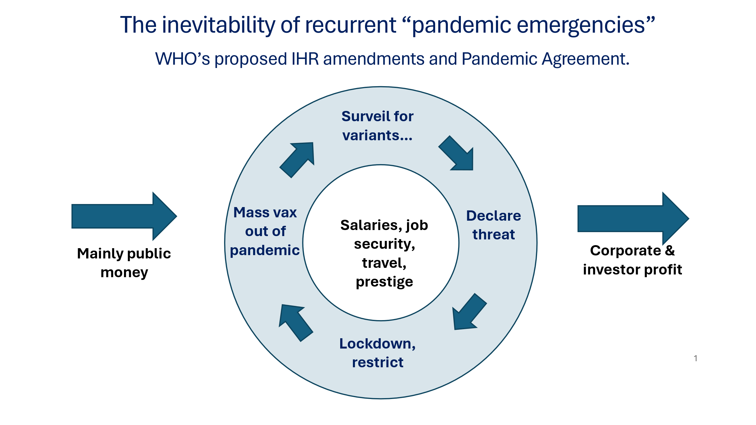 The World Health Assembly And Pandemics - Another Step Further Into The Pit