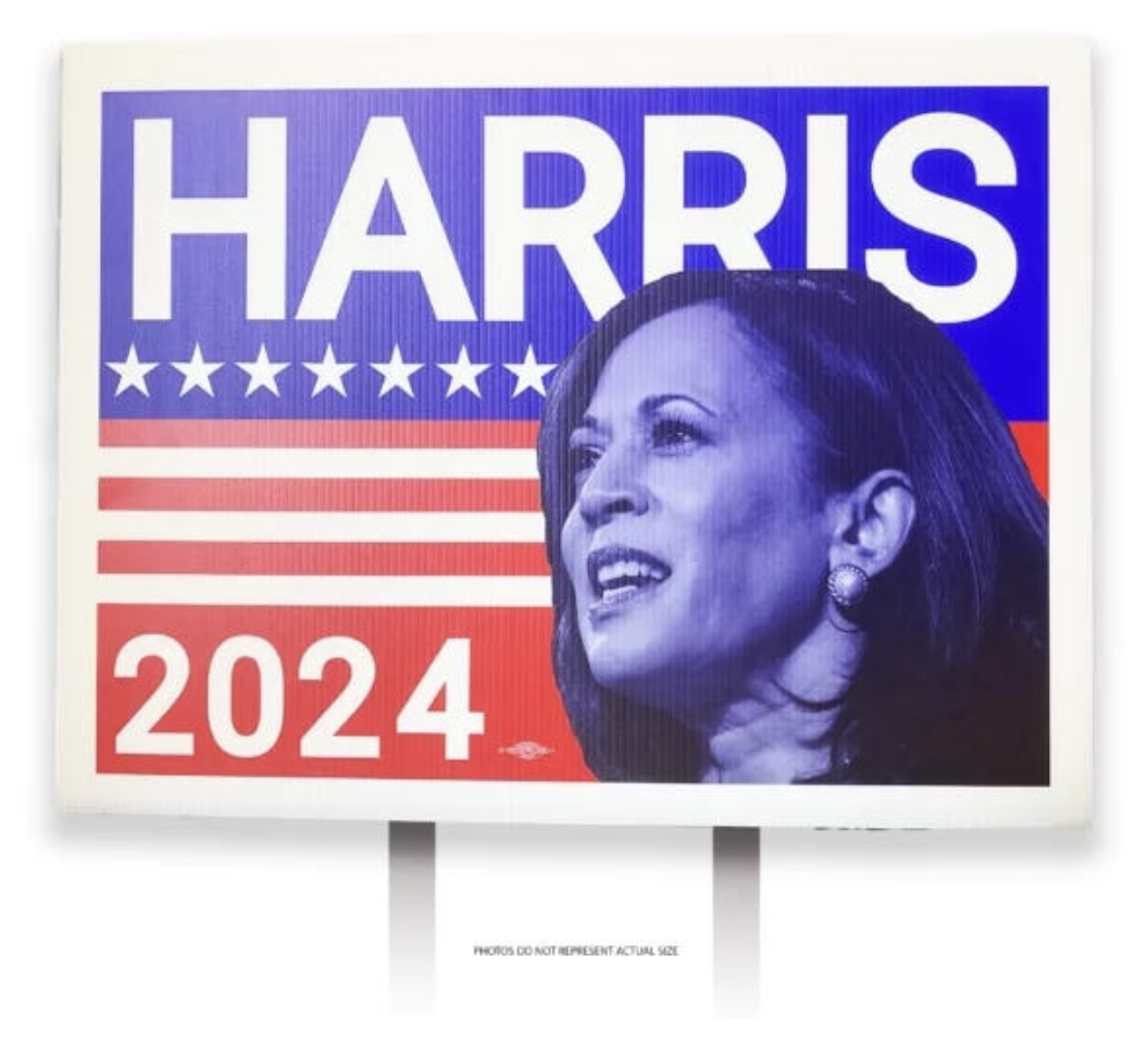 Who IS Kamala Harris?