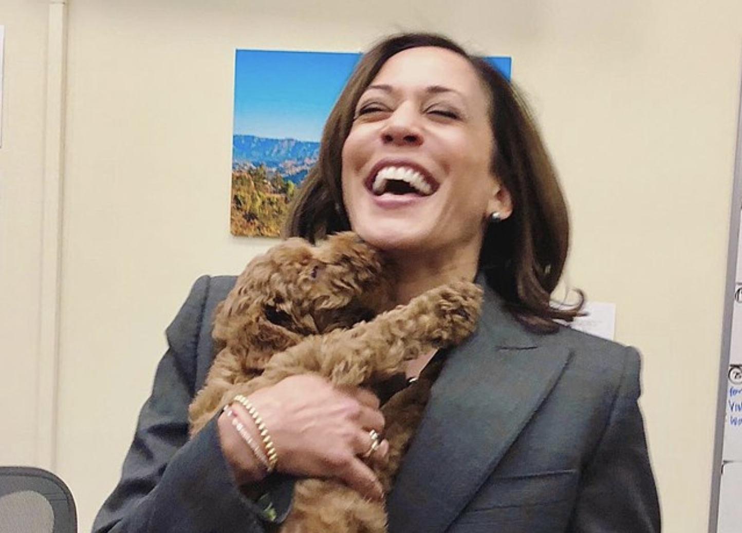 The Failed Economic Fantasy Land And The Joyful World Of Kamala Harris