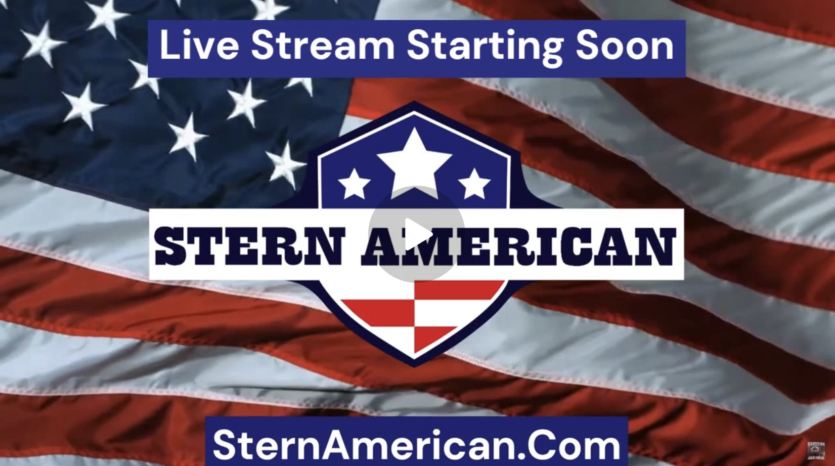 LIVE 2pm EST: Election Security Call With Steve Stern And Raj Doraisamy