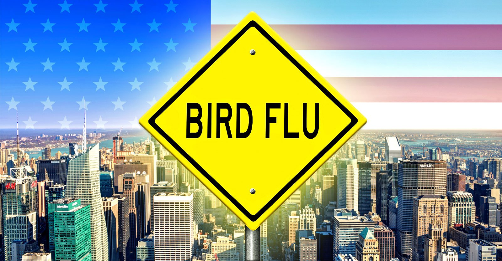 New York City officials are planning a tabletop simulation later this month to prepare for a hypothetical bird flu outbreak, a city health official revealed at the International Bird Flu Summit, that took place last week in Fairfax, Virginia.