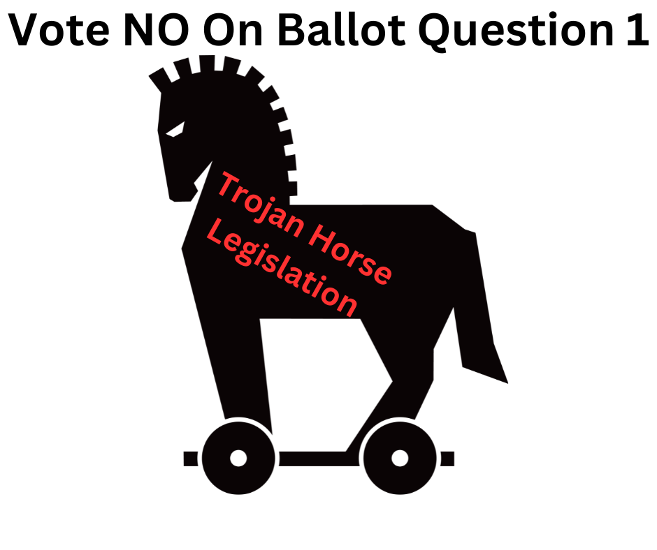 Maryland's Ballot Question 1: Trojan Horse To Violate Parental Rights?